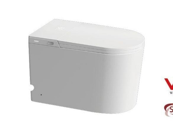Smart Intelligent Toilet G1FD-E