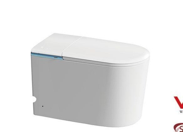 Smart Intelligent Toilet G6FD-E