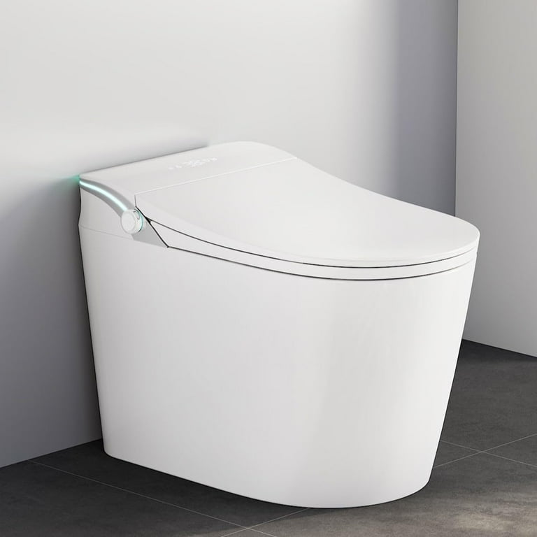 Smart Toilet
